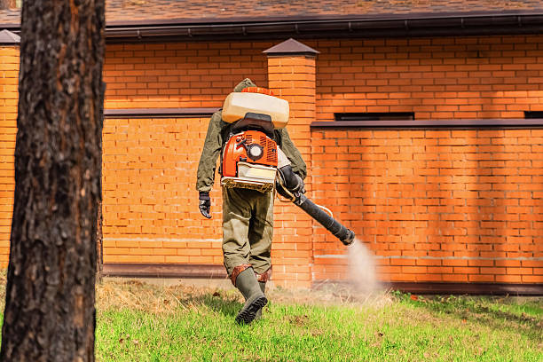 Bed Bug Clearance Verification and Documentation in Toppers
